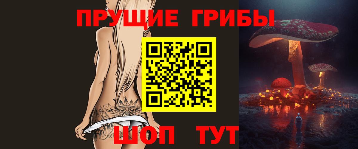 Псилоцибиновые грибы Psilocybine cubensis Реж