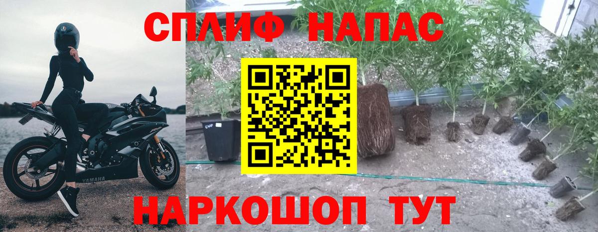 Реж  Шишки марихуана тримм  Канабис индика  Вход с VPN  Марихуана планчик 